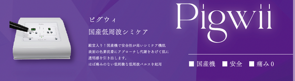 BWJ Tokyo【Pigwii＿国産低周波シミケア】